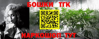 стаф Вязьма