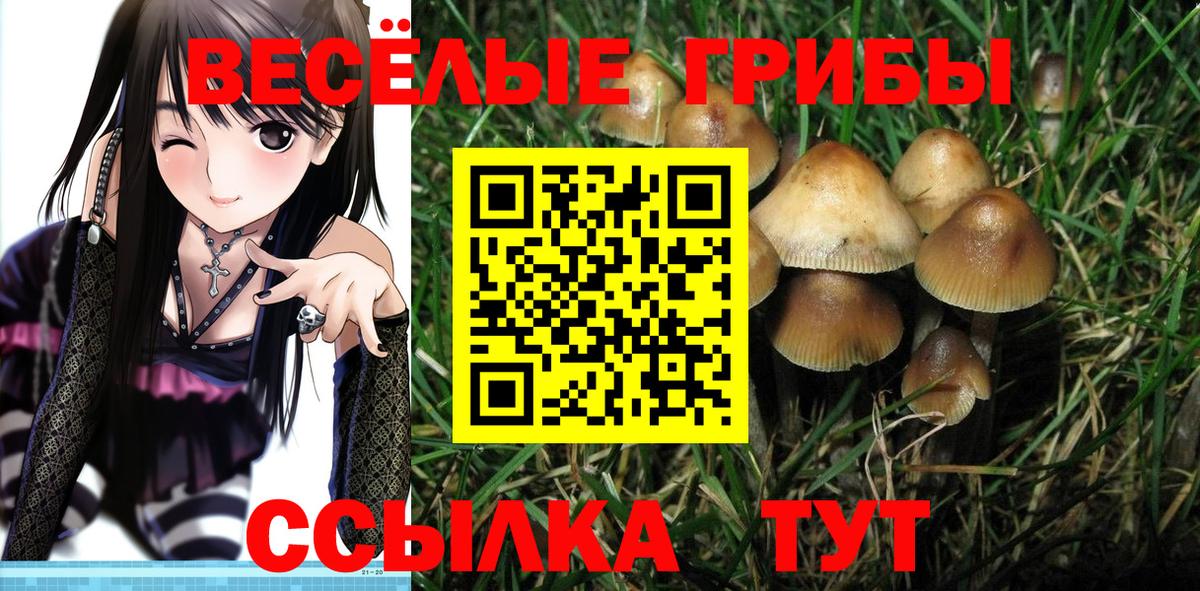 Галлюциногенные грибы прущие грибы  Псилоцибиновые грибы ЛСД  Вход с VPN  Киров 