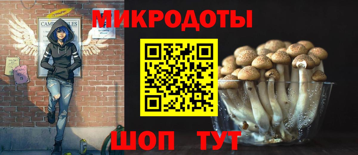 Псилоцибиновые грибы прущие грибы Киров